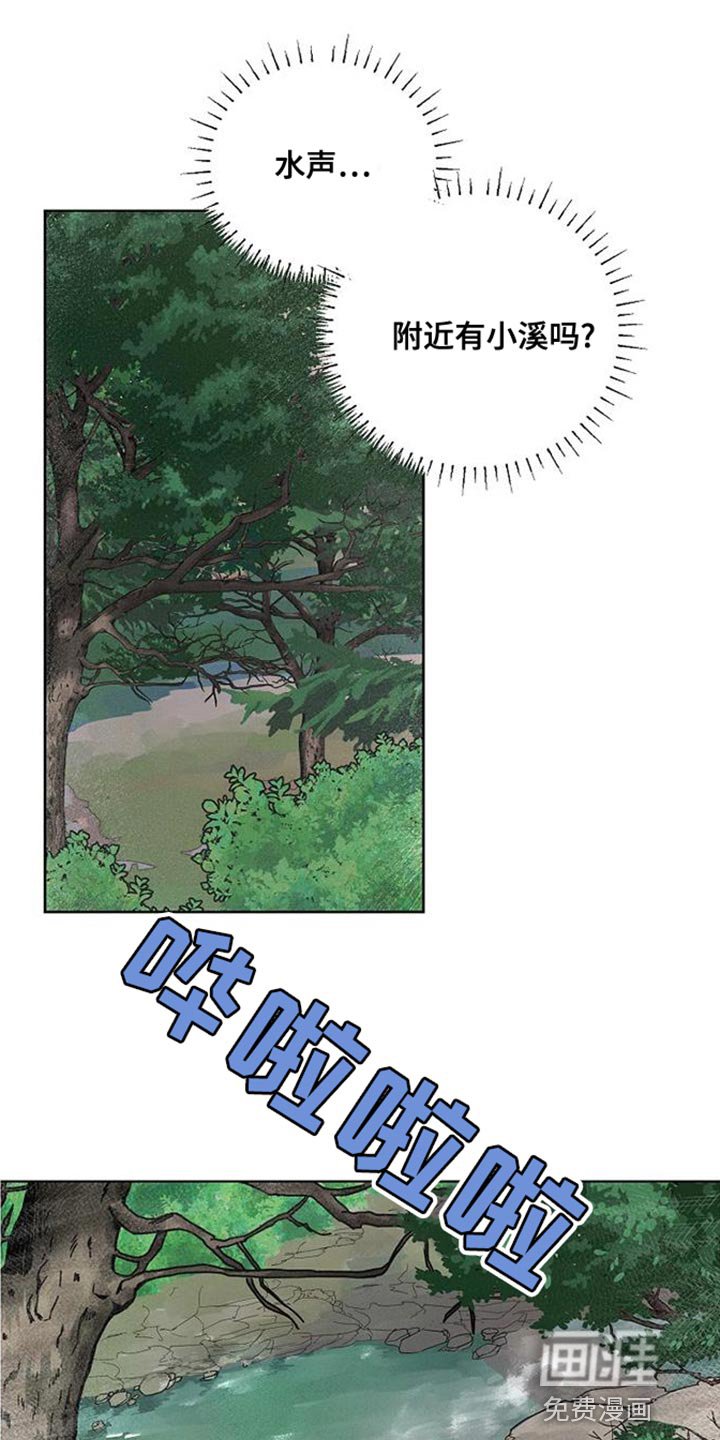 第15章：似曾相识的梦