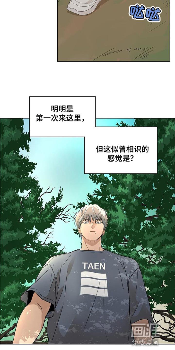第15章：似曾相识的梦