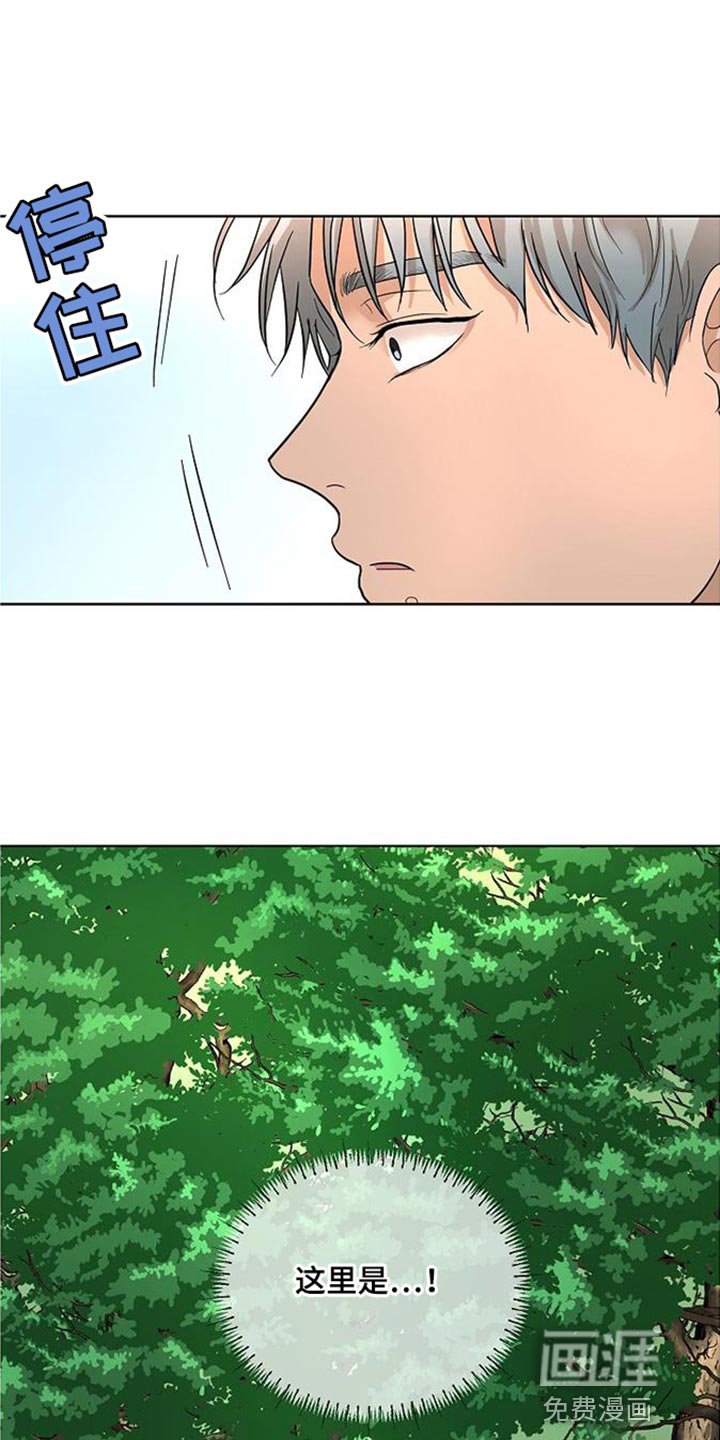 第15章：似曾相识的梦