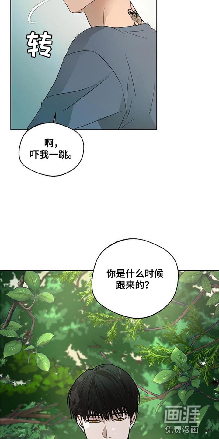第15章：似曾相识的梦