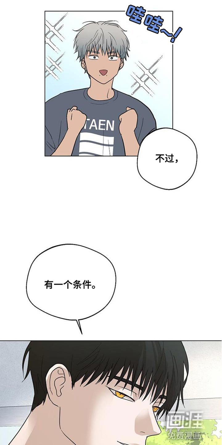 第16章：有一个条件