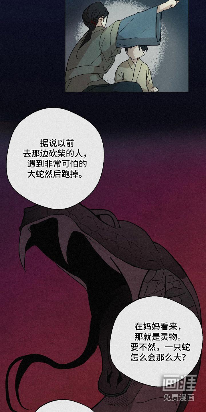第22章：【番外】灵物