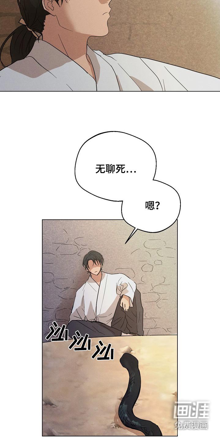 第22章：【番外】灵物