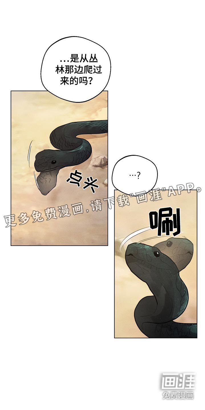 第22章：【番外】灵物
