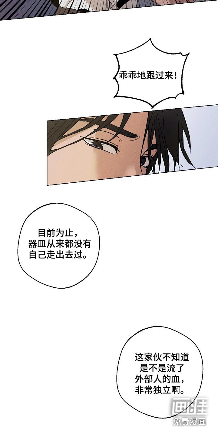 第26章：【番外】怎么办