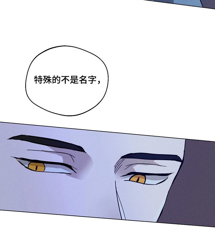 第29章：【番外】记住