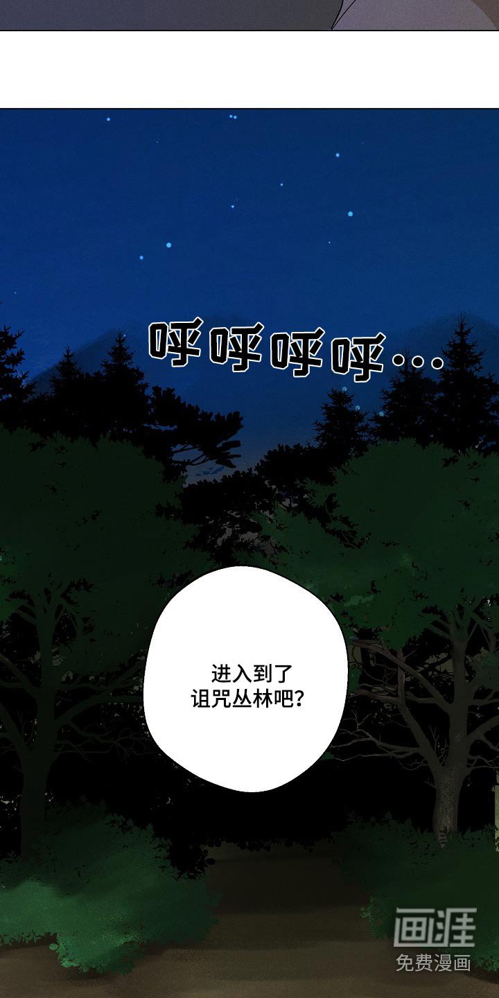 第30章：【番外】寻找