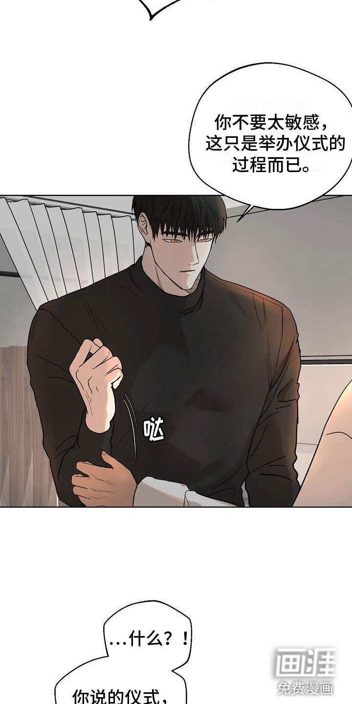 第8章：随便你