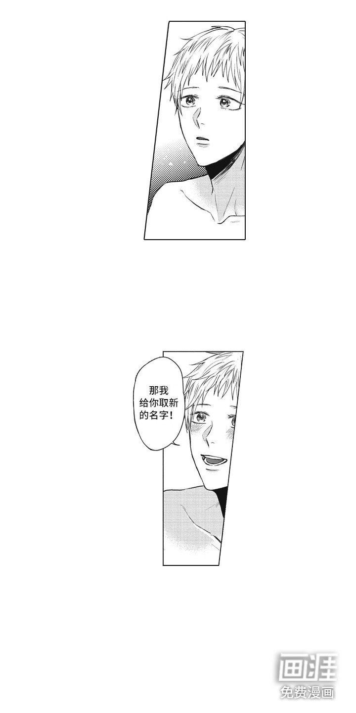 第19章：取名