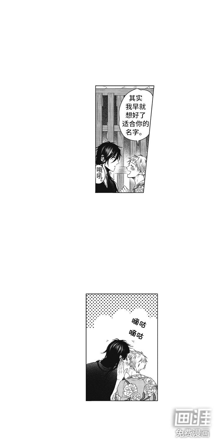 第19章：取名