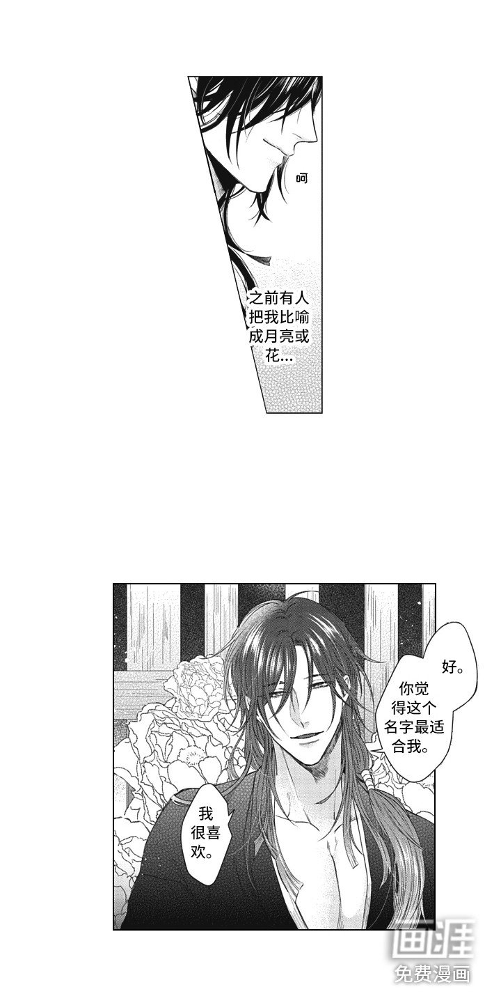 第19章：取名
