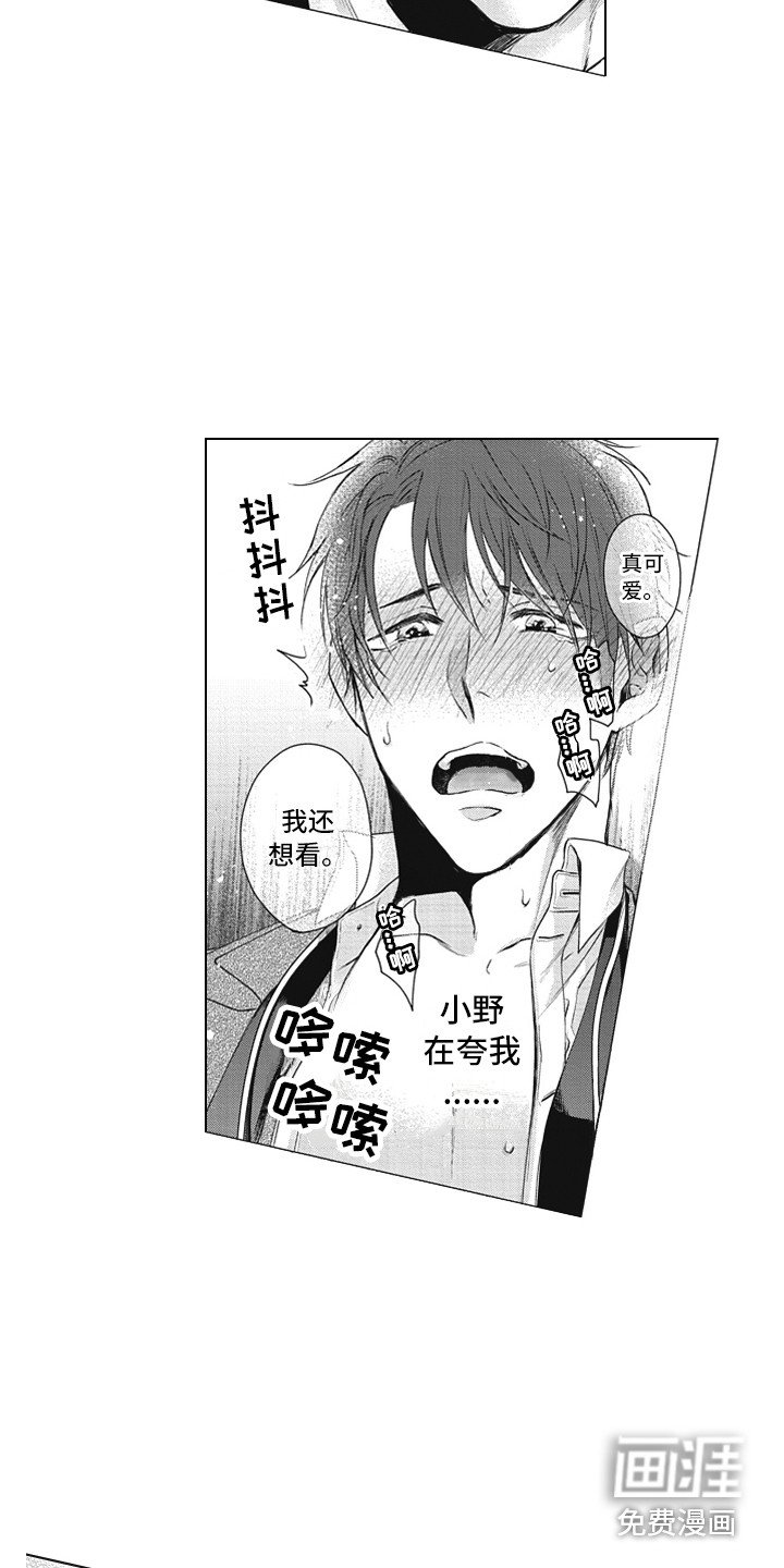 第5章：夸赞