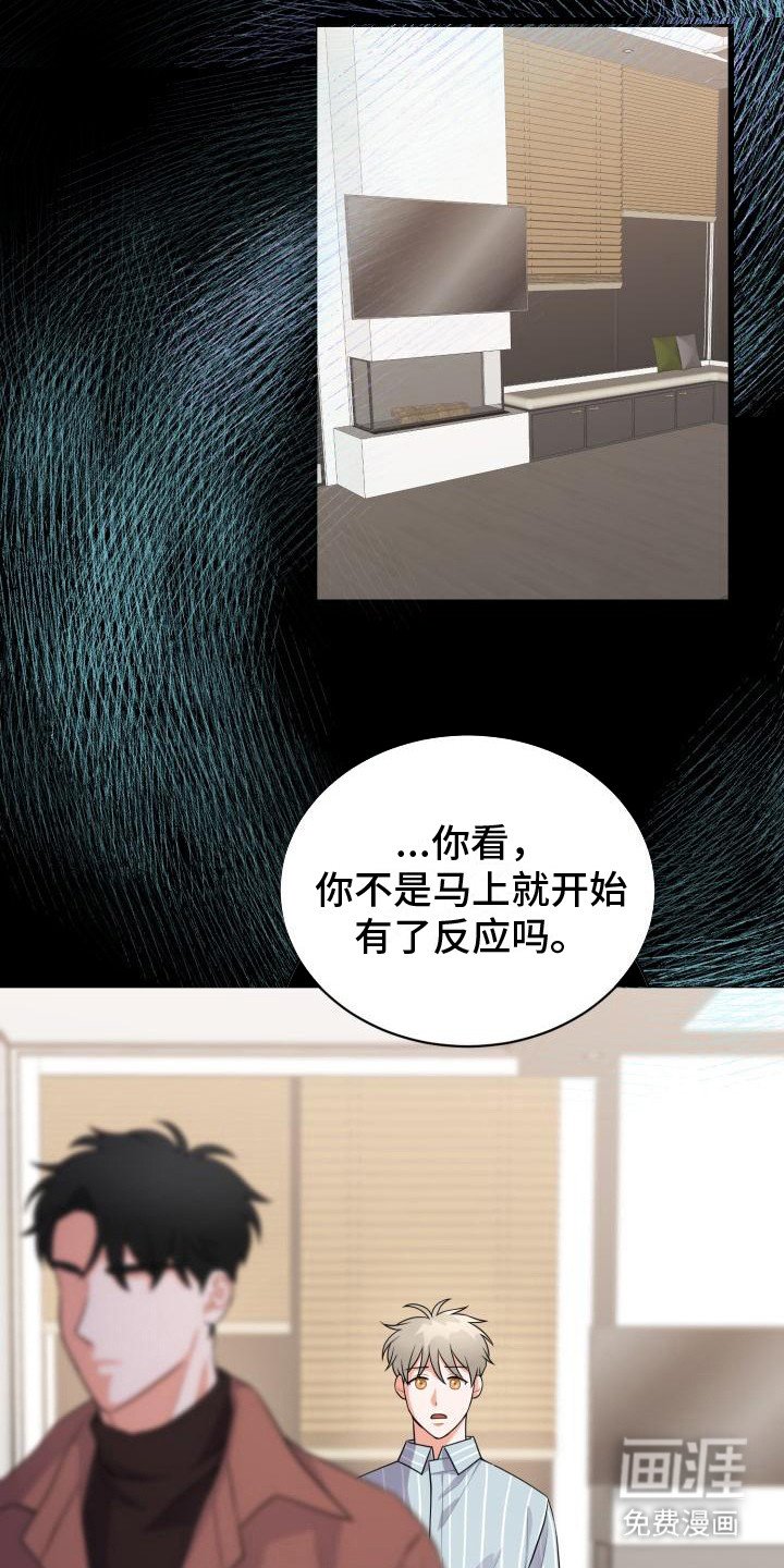 第8章：易感期