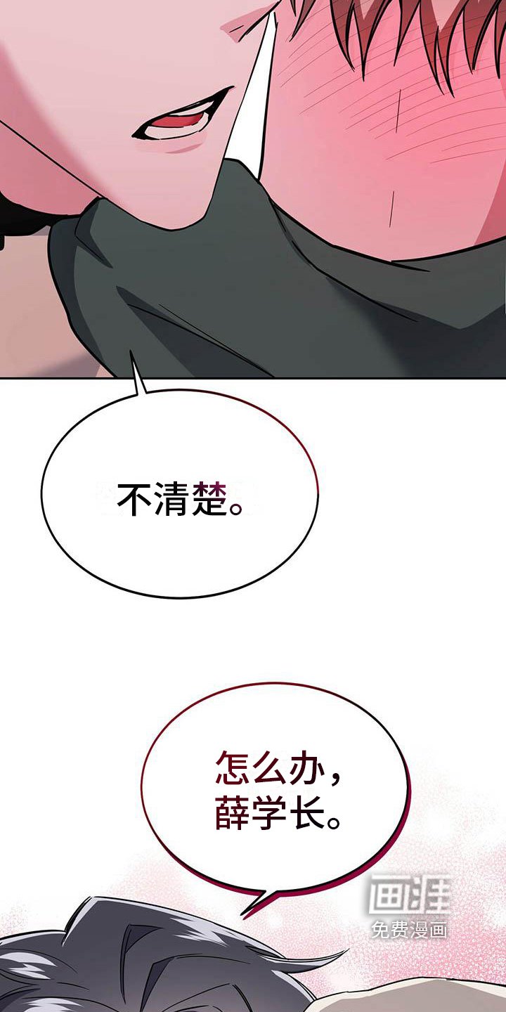 第20章：不清楚