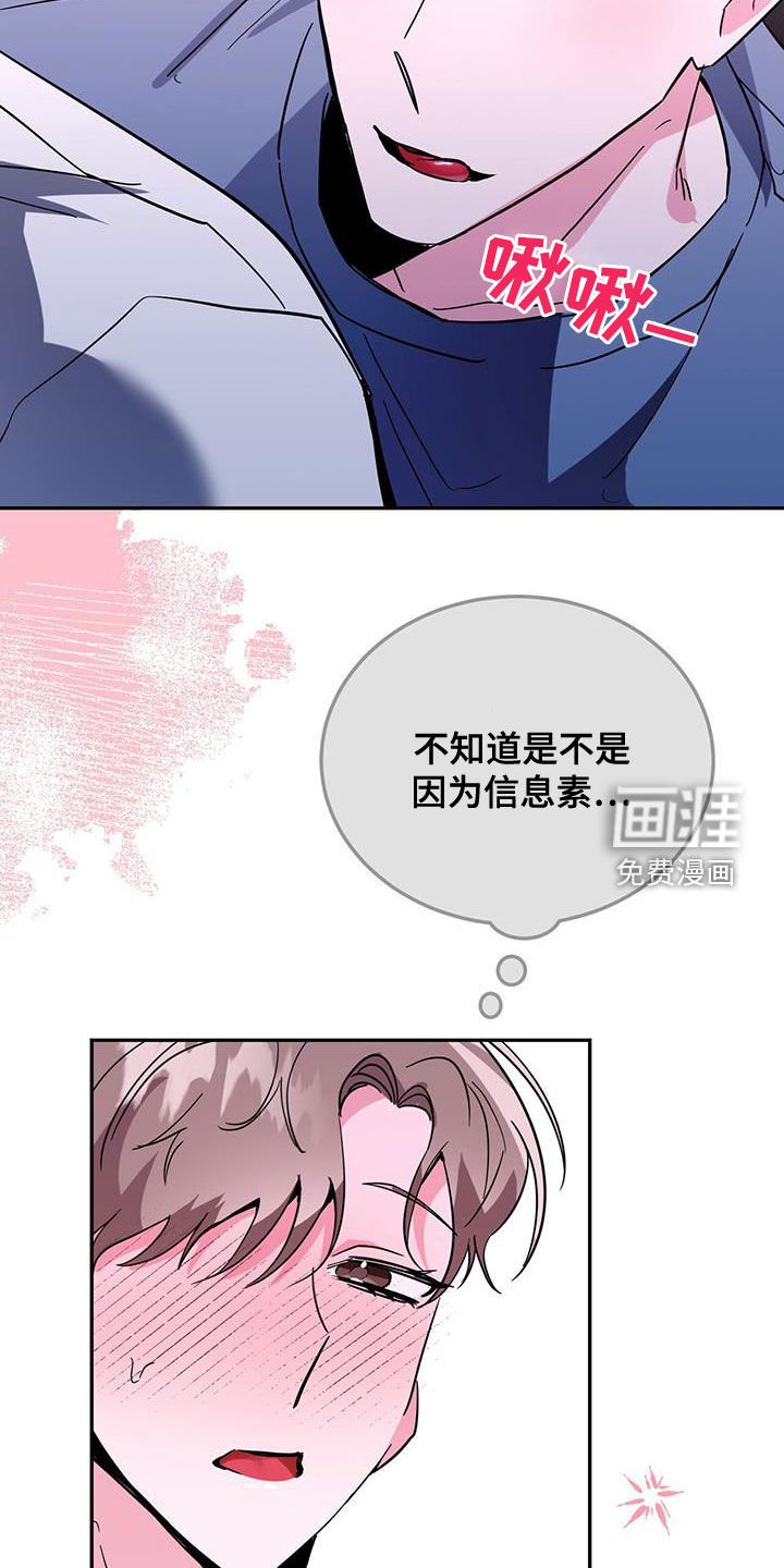 第44章：什么都想不起来