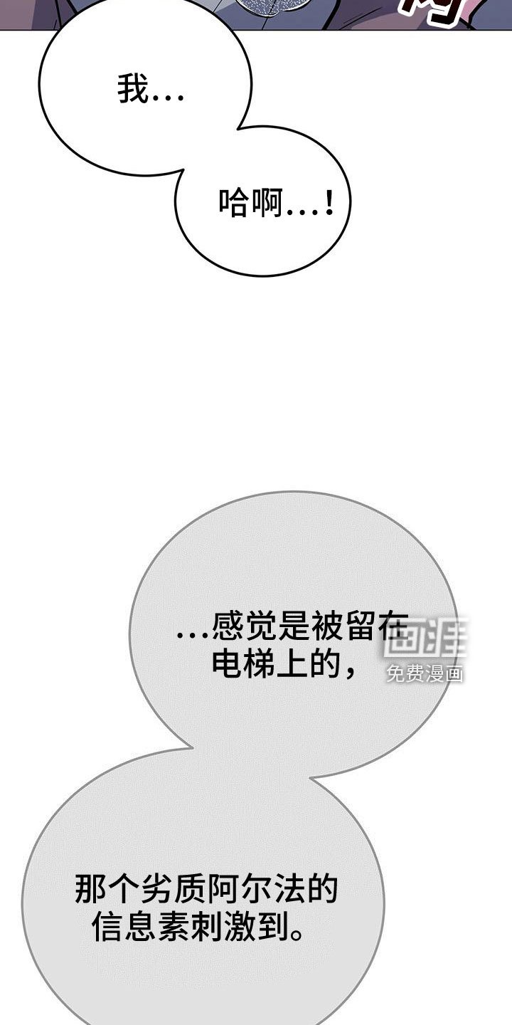 第62章：真壮观