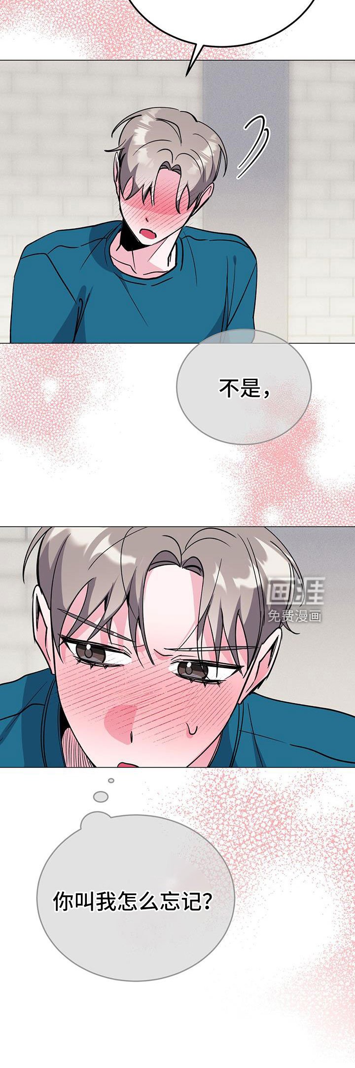 第69章：伴侣