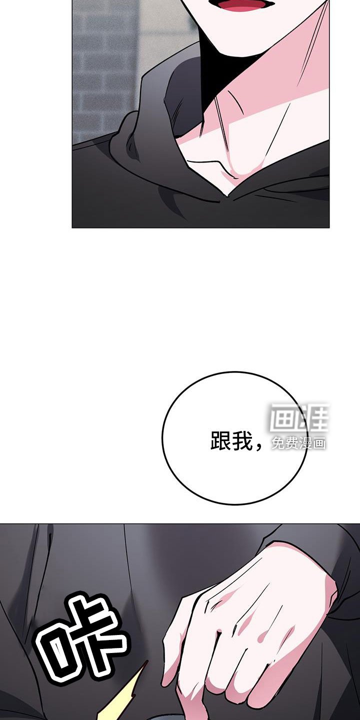 第69章：伴侣
