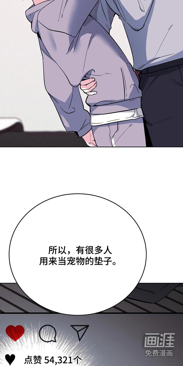 第97章：疯子