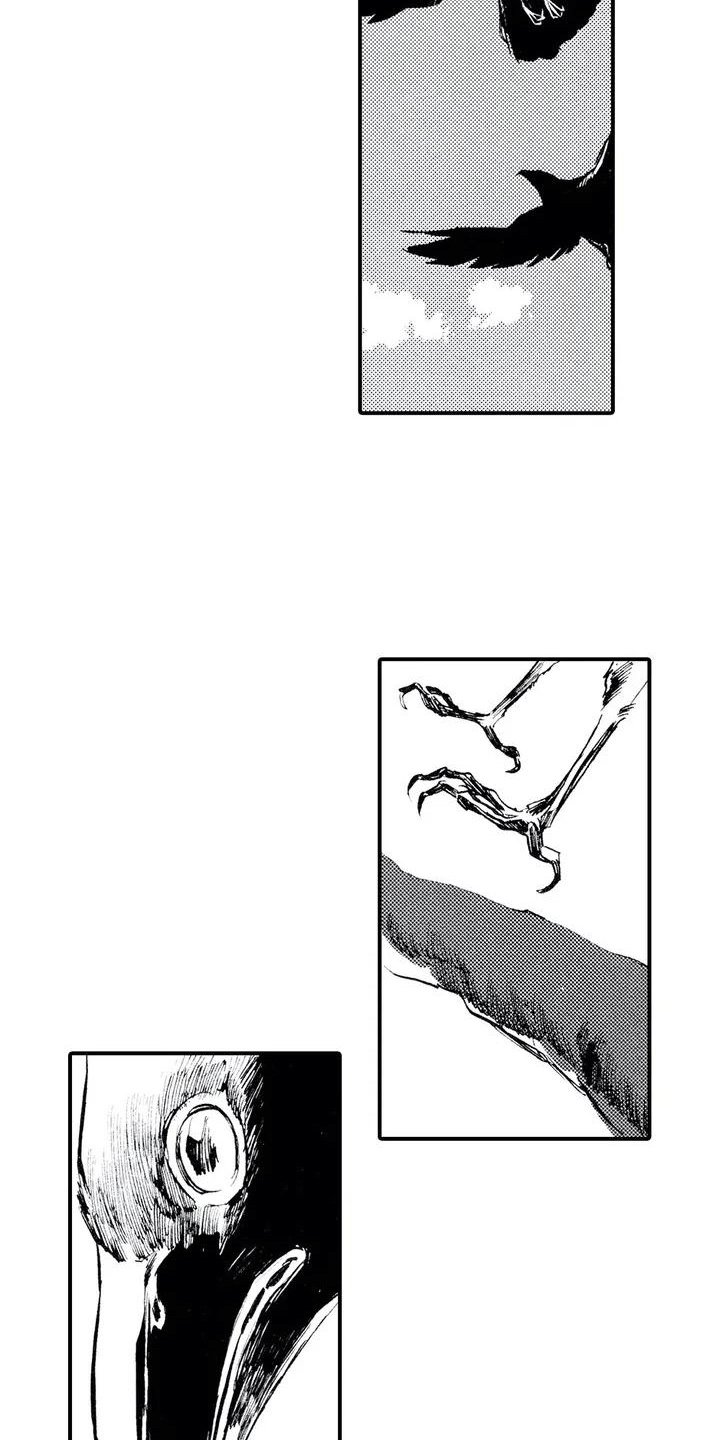 第1章：狼捡了人