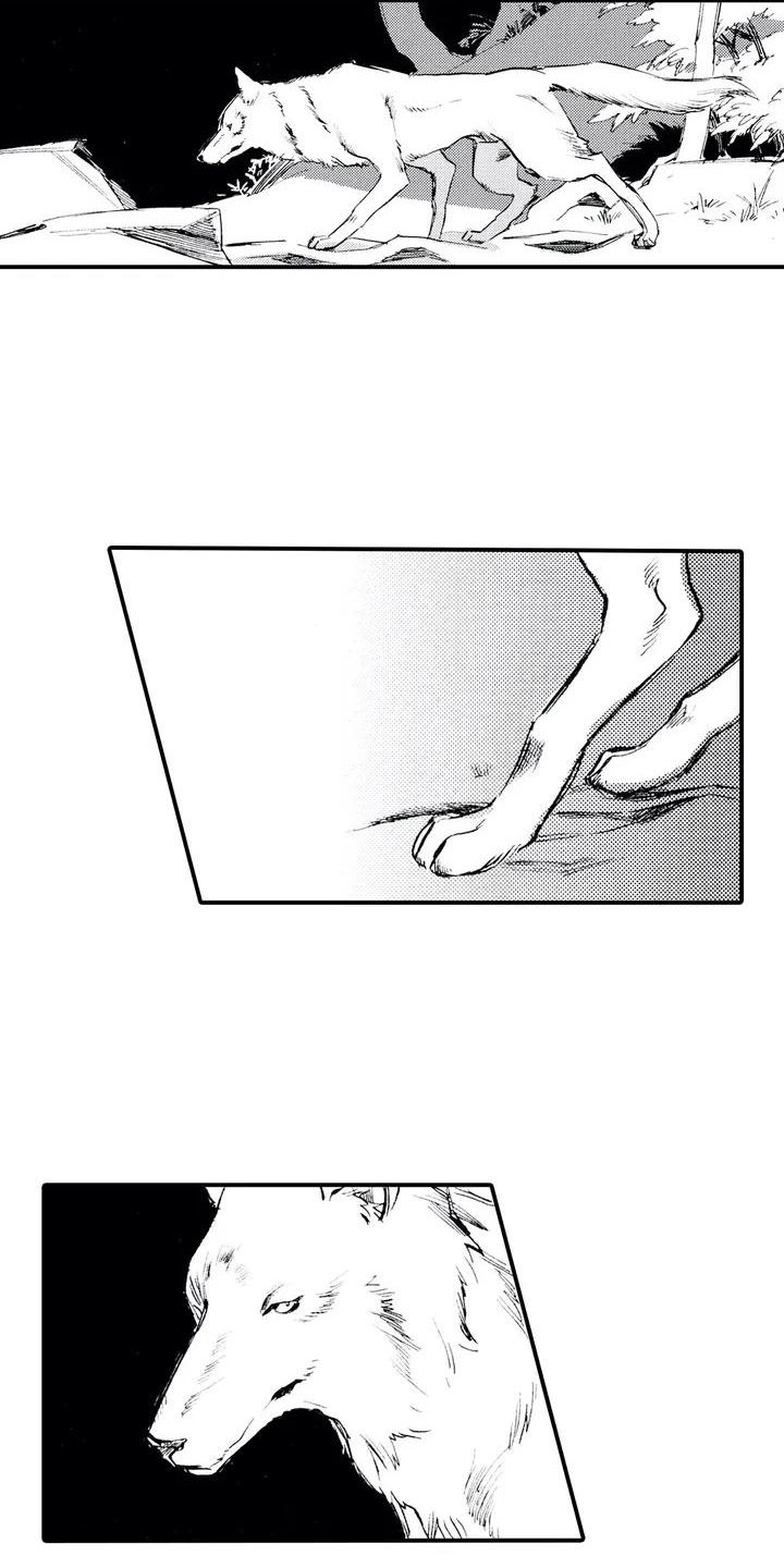 第1章：狼捡了人
