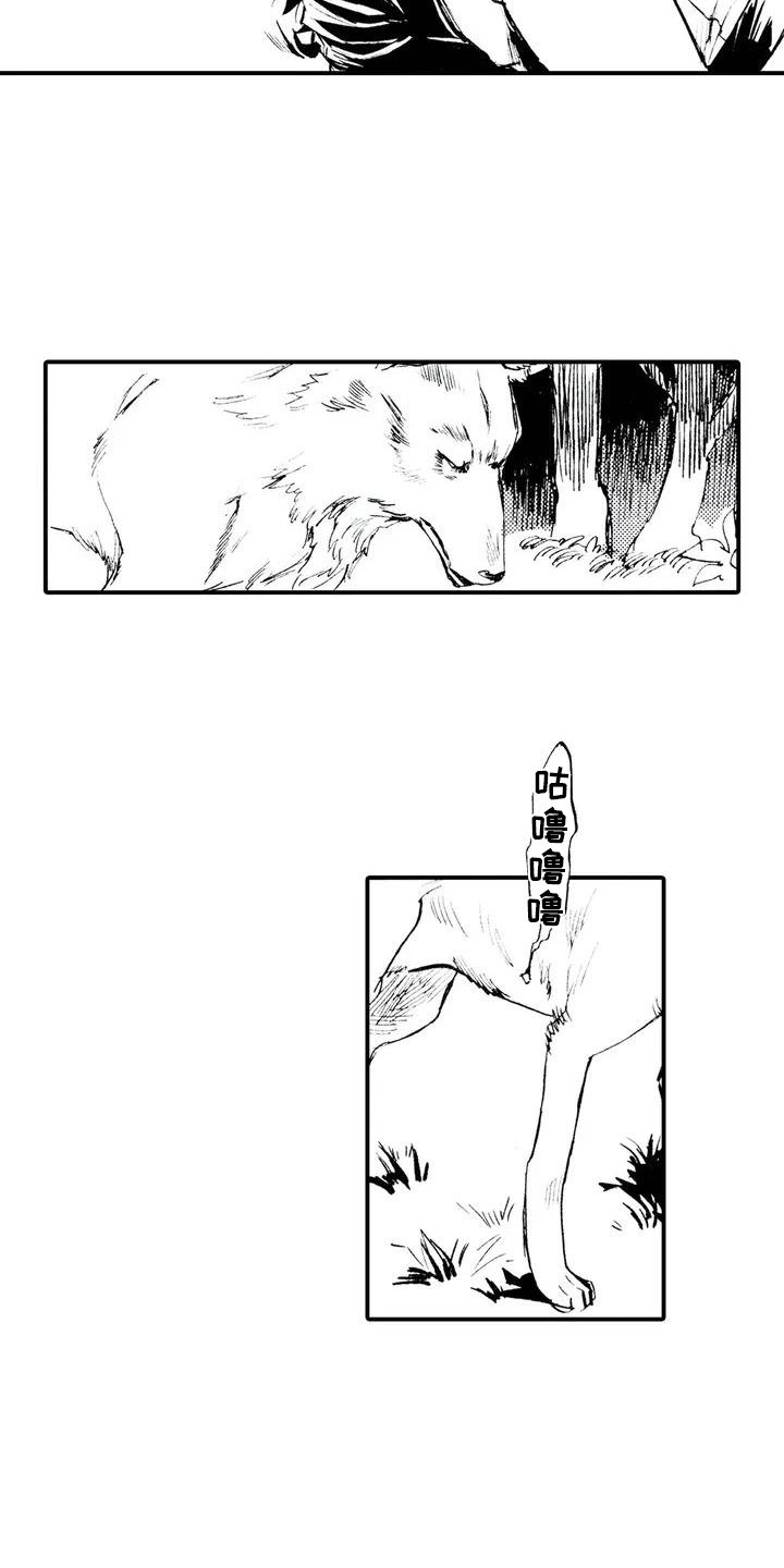 第1章：狼捡了人