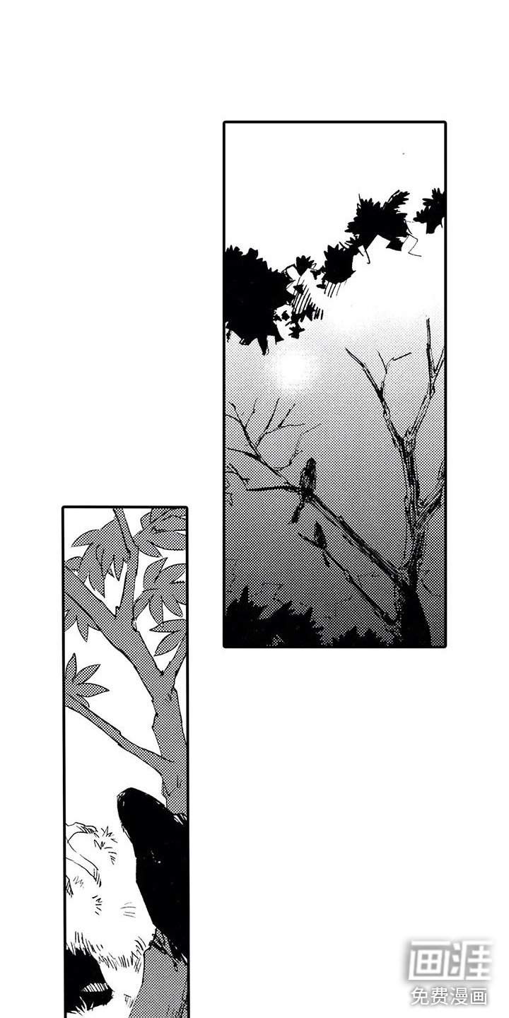 第11章：那个人在哪？