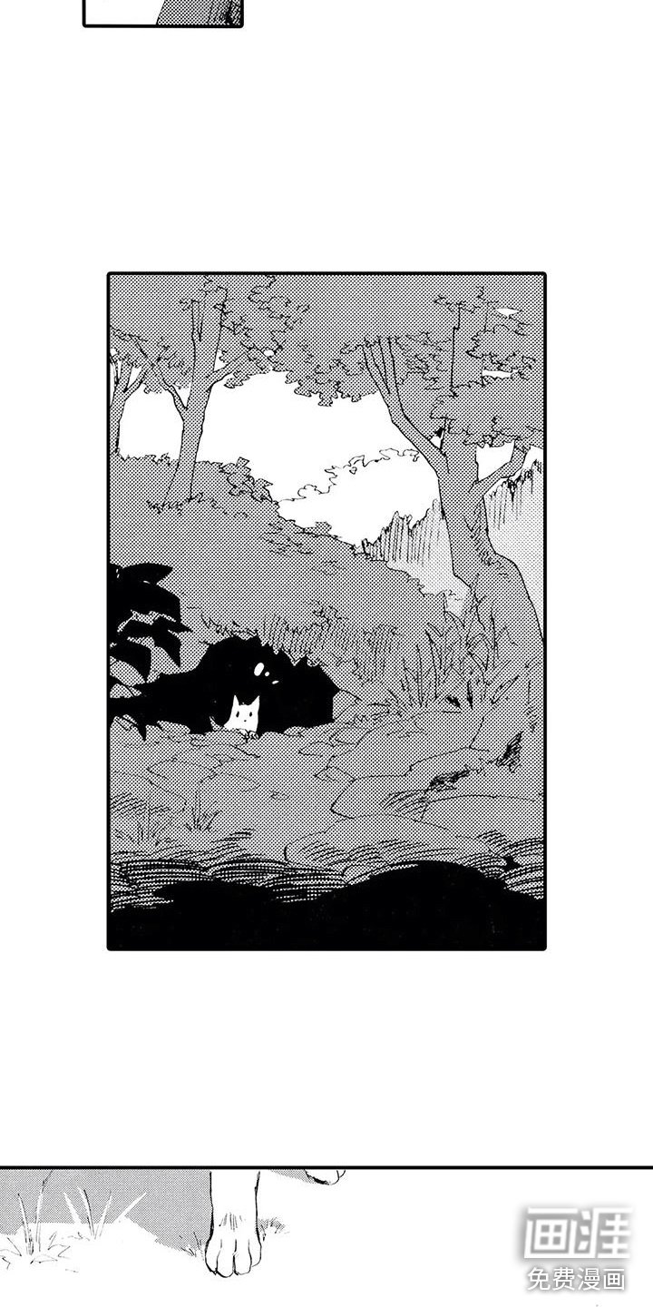 第11章：那个人在哪？