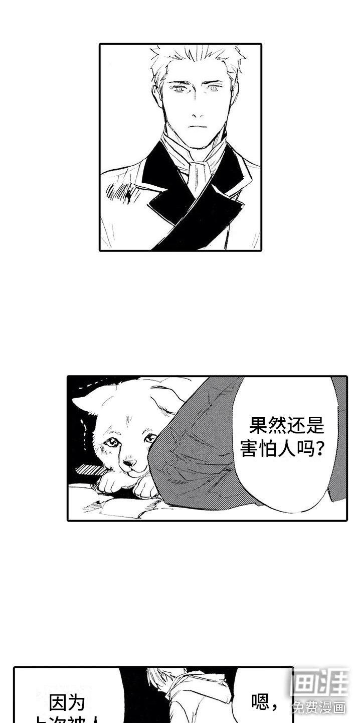 第11章：那个人在哪？