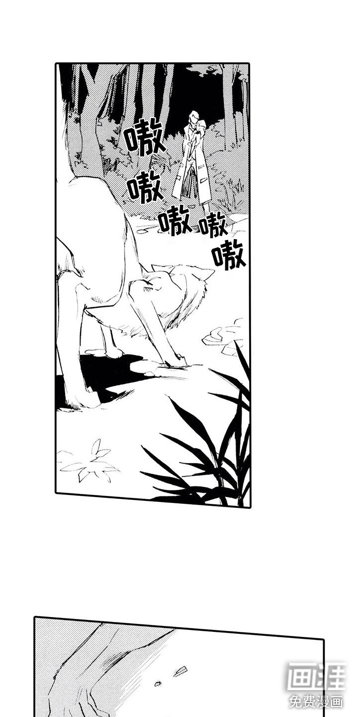 第13章：他说谎了
