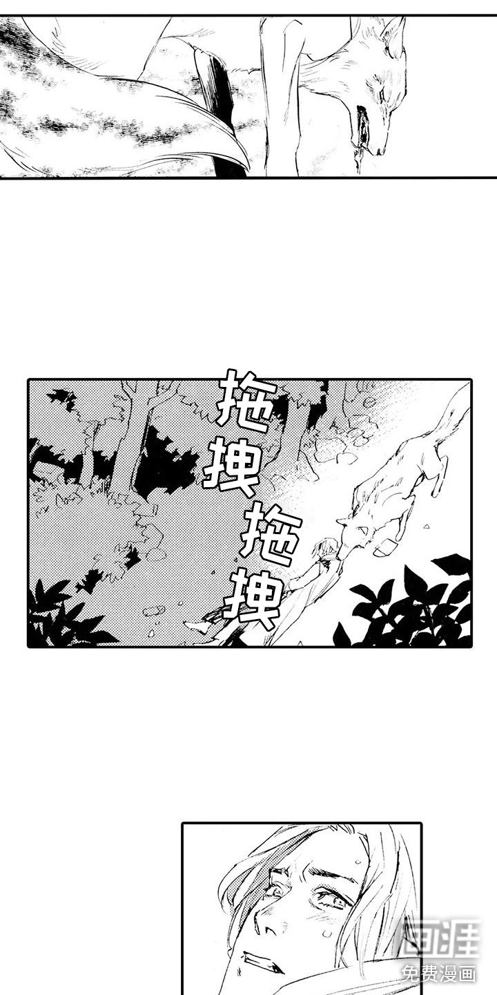 第13章：他说谎了