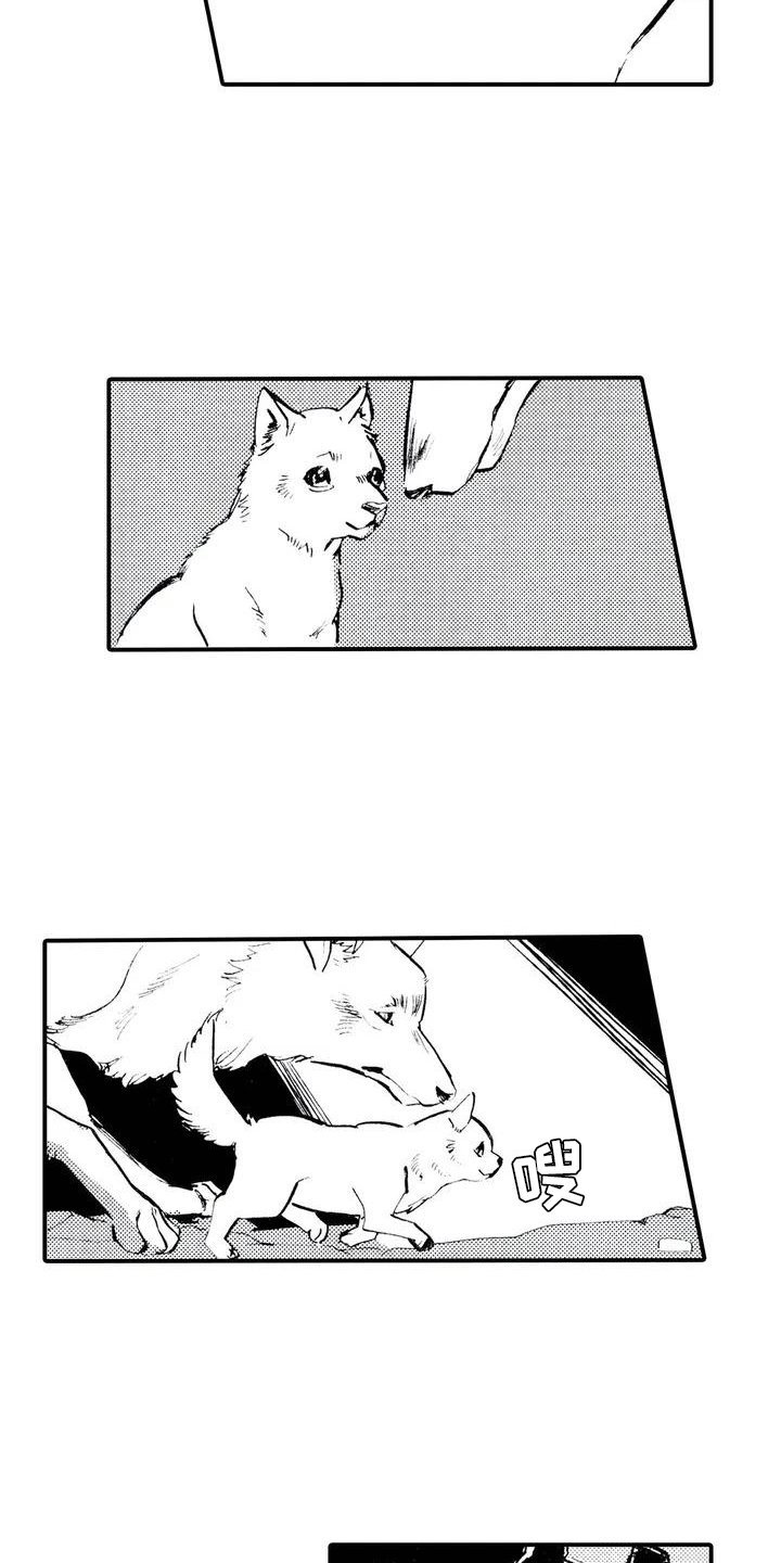 第2章：缘由