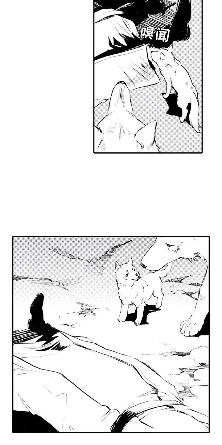 第2章：缘由
