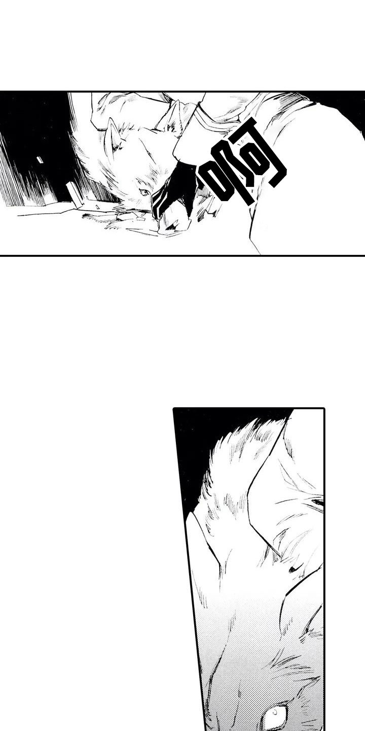 第2章：缘由