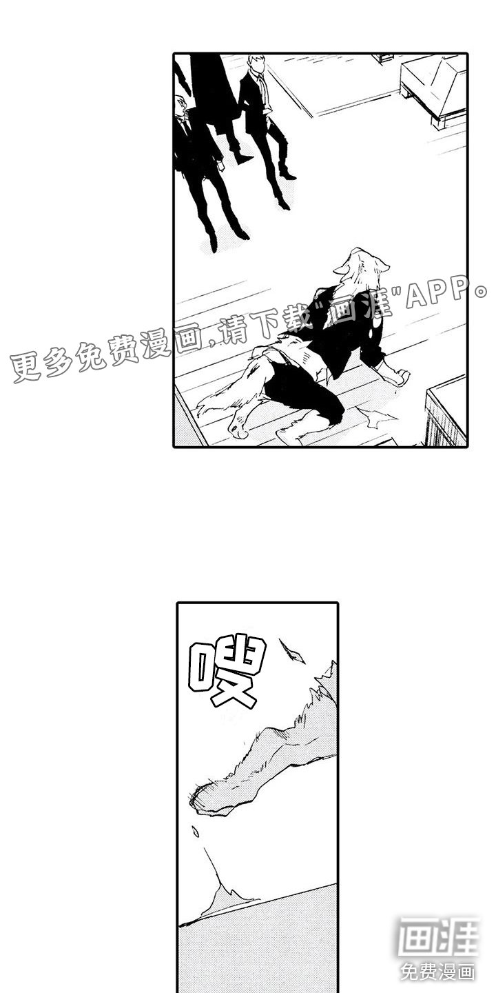 第28章：失去理智