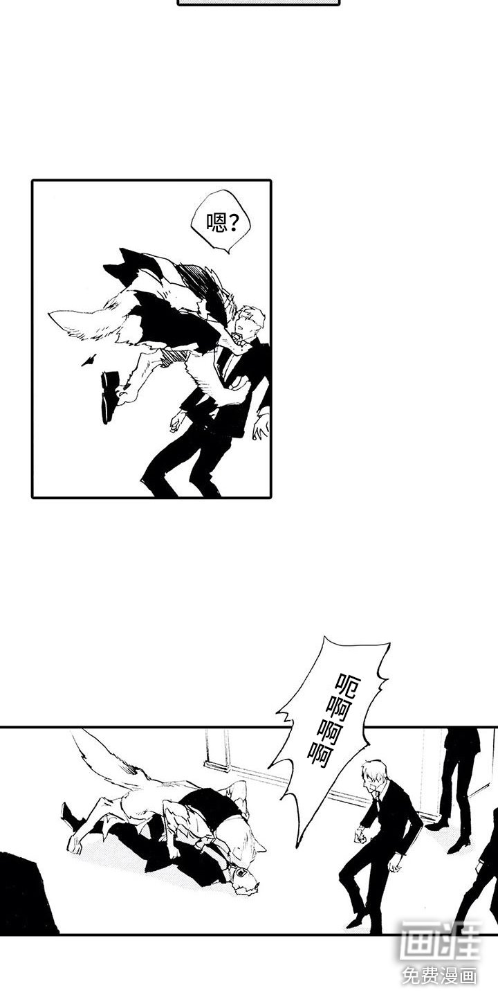 第28章：失去理智