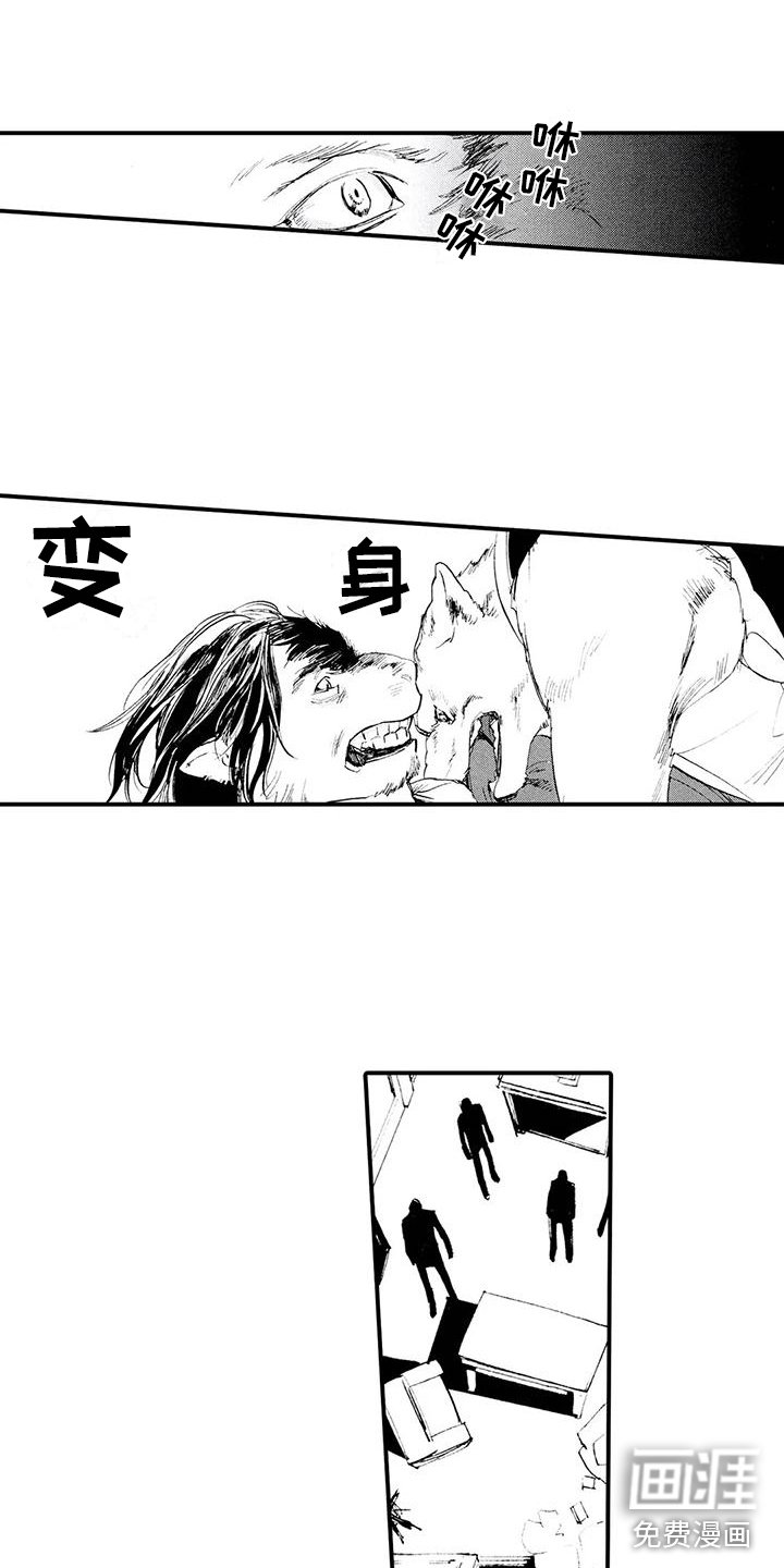 第28章：失去理智