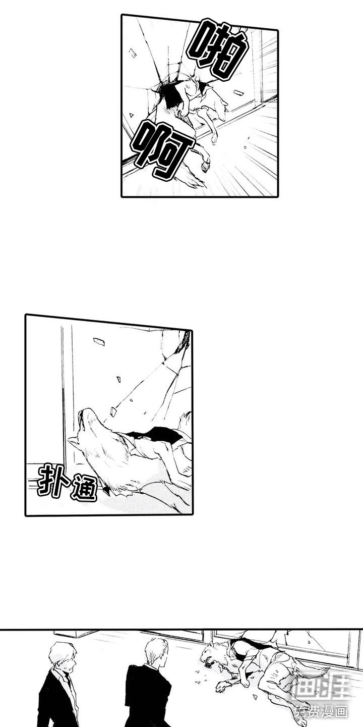 第28章：失去理智