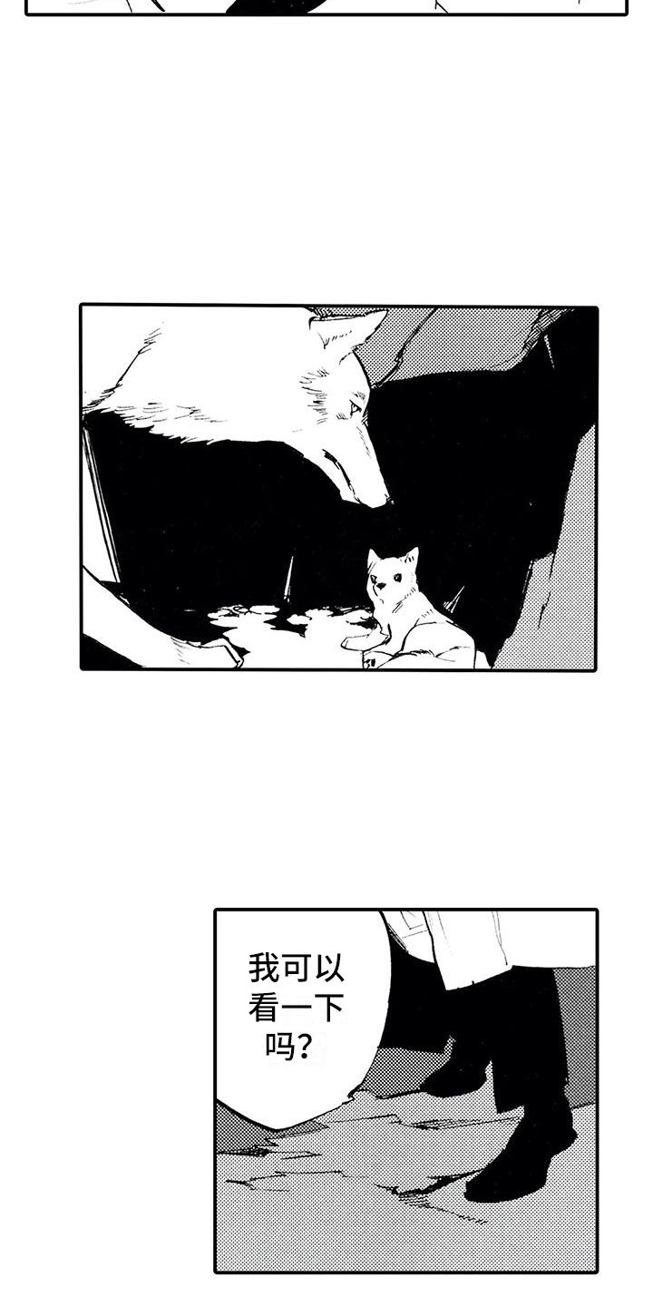 第3章：你能理解吧？