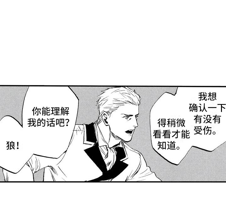 第3章：你能理解吧？