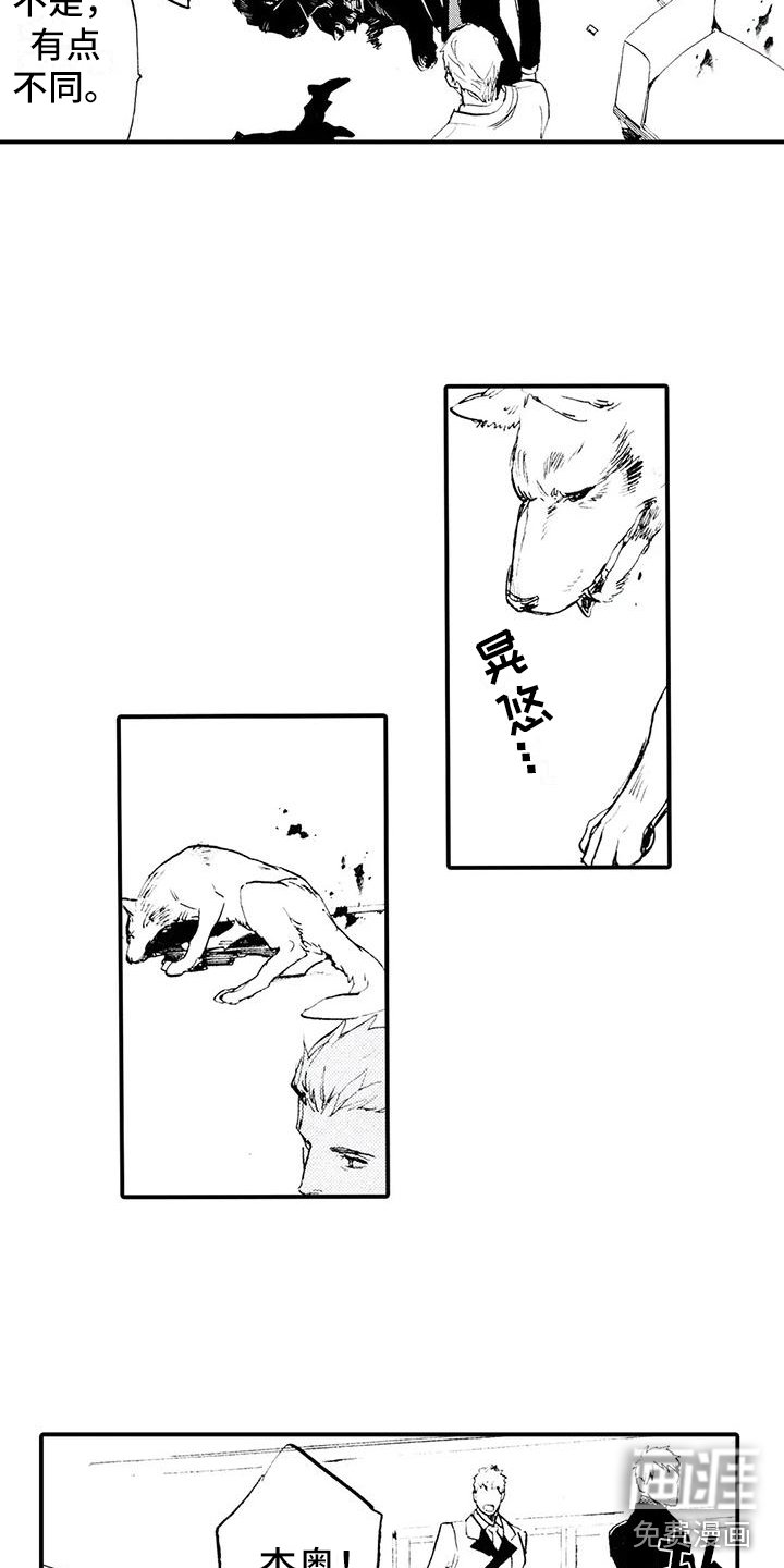 第31章：都是他干的