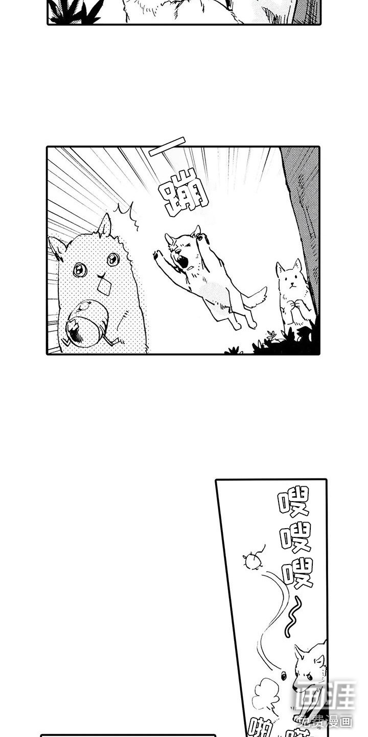 第31章：都是他干的