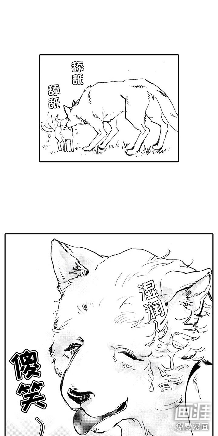 第31章：都是他干的