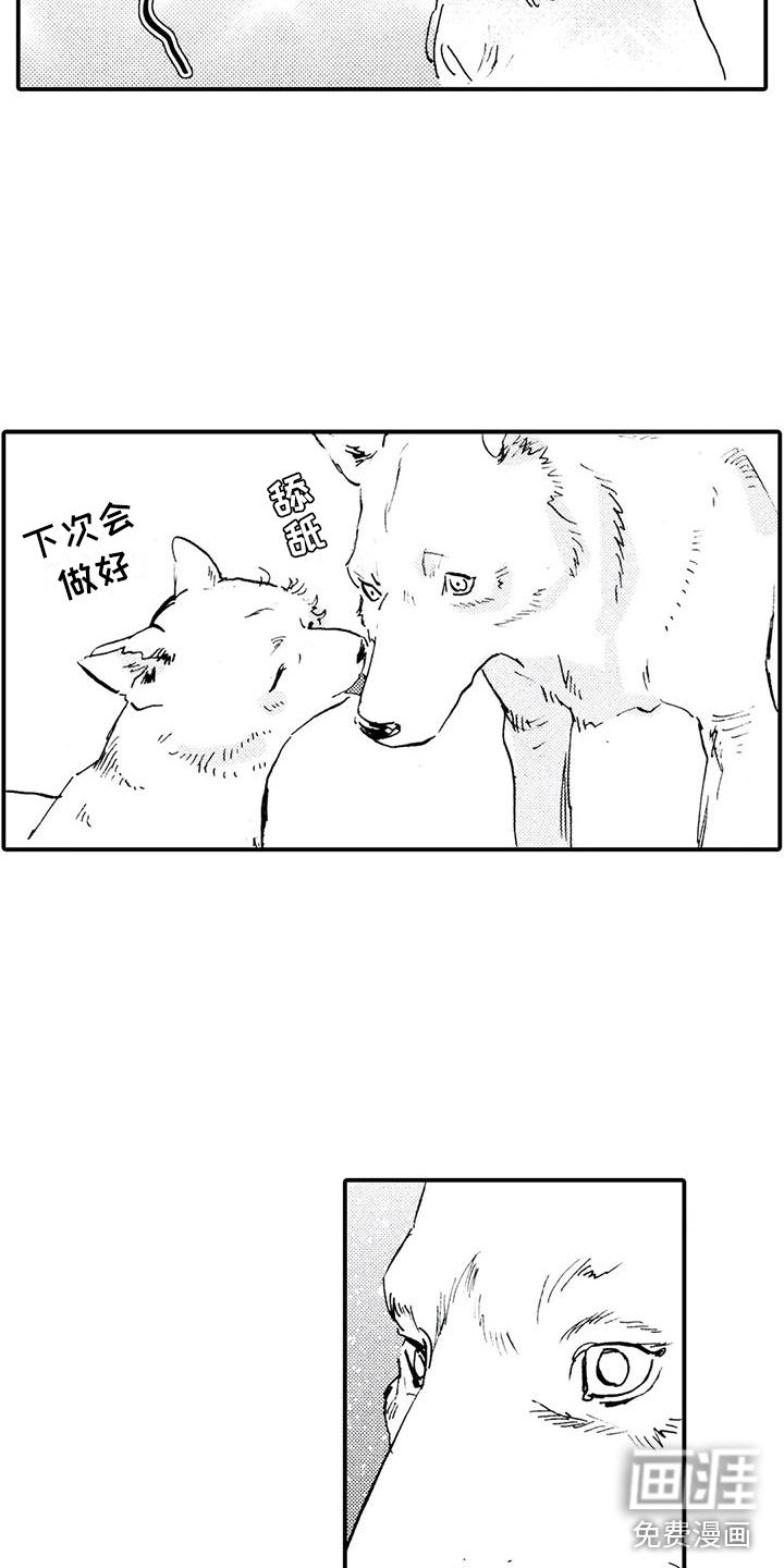 第31章：都是他干的