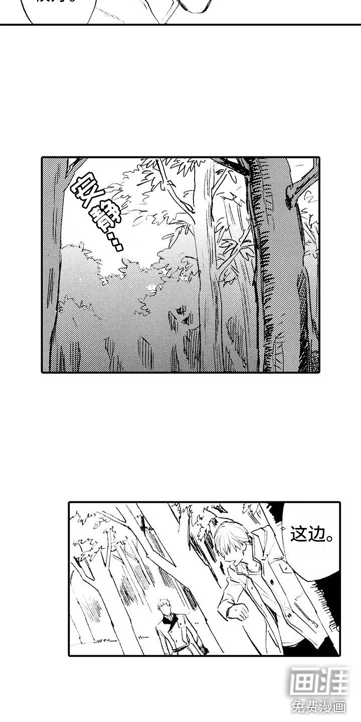 第6章：各怀目的