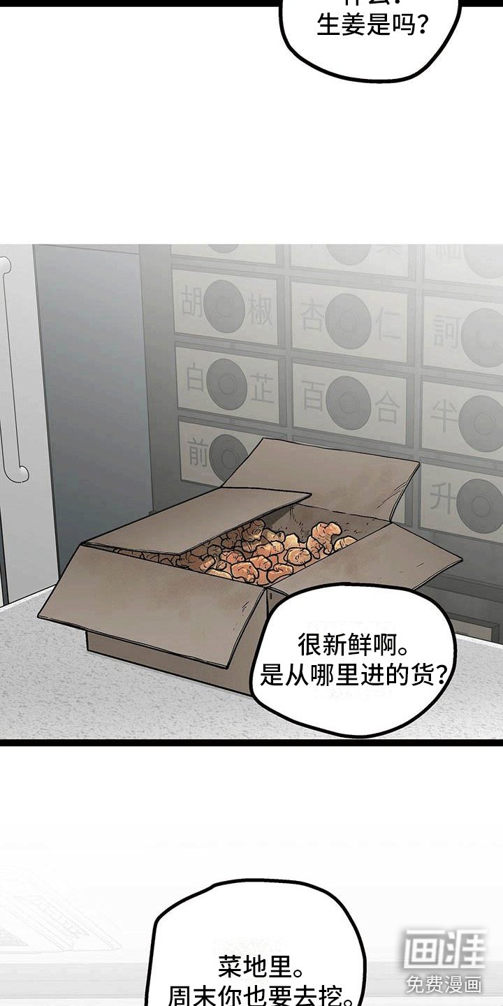 第10章：像糖果一样