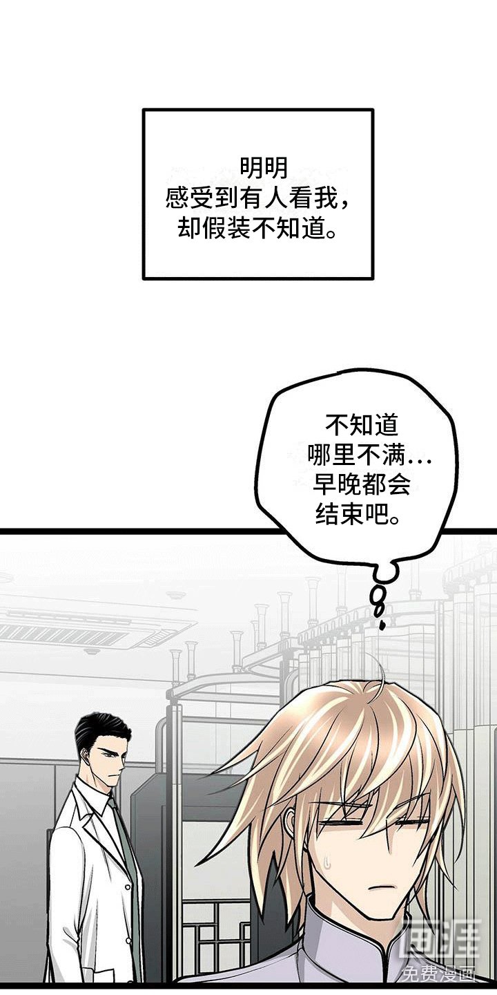 第13章：有些奇怪
