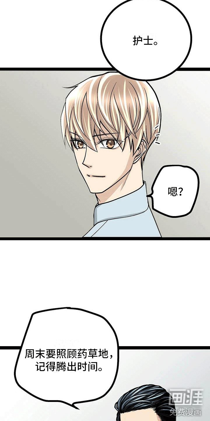 第15章：剪头发