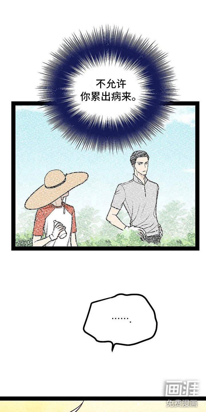 第16章：心律失常？