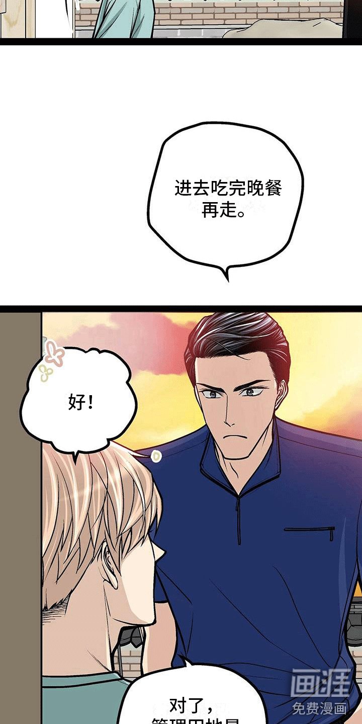 第16章：心律失常？